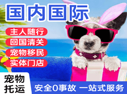 腾鳌机场快递国际宠物托运 【国